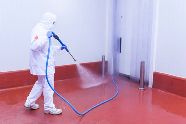 Reliable Vienna, WV Pressure Washing Services Solutions