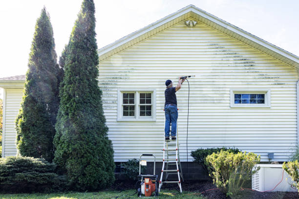 Best Driveway Pressure Washing  in Vienna, WV